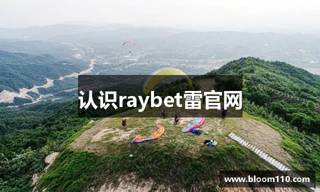 认识raybet雷官网